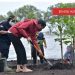 Presiden Joko Widodo (kanan) didampingi Menteri Lingkungan Hidup dan Kehutanan Siti Nurbaya melakukan penanaman mangrove di kawasan wisata Raja Kecik, Desa Muntai Barat, Kecamatan Bantan, Kabupaten Bengkalis, Riau, Selasa (28/9/2021). ANTARA FOTO